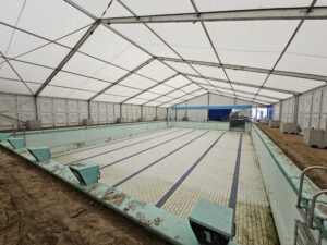 tent diep 1